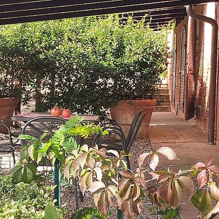 San Lorenzo Agriturismo Buonconvento Exterior foto
