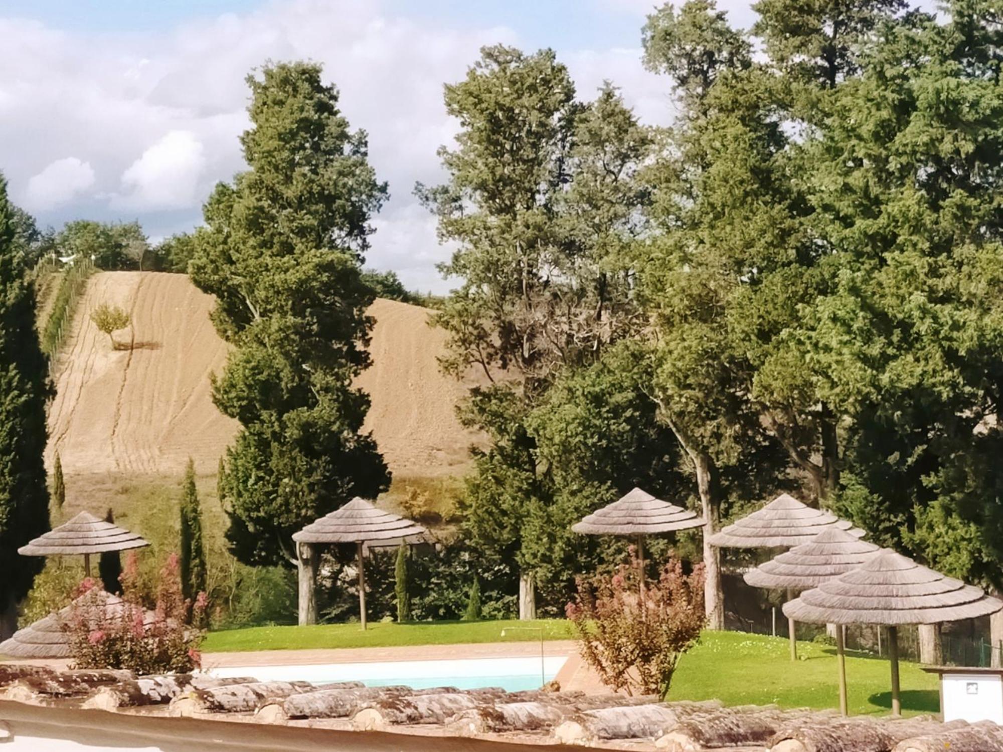 San Lorenzo Agriturismo Buonconvento Exterior foto