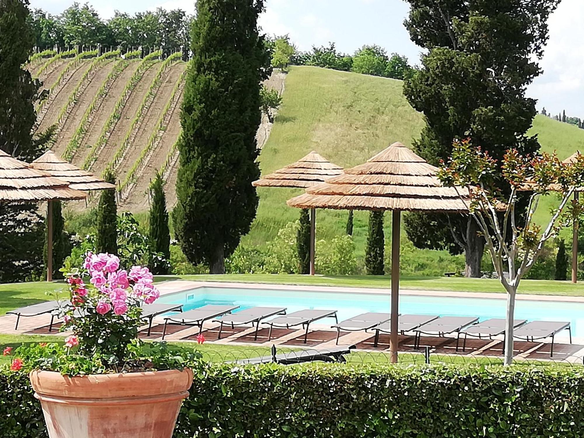 San Lorenzo Agriturismo Buonconvento Exterior foto