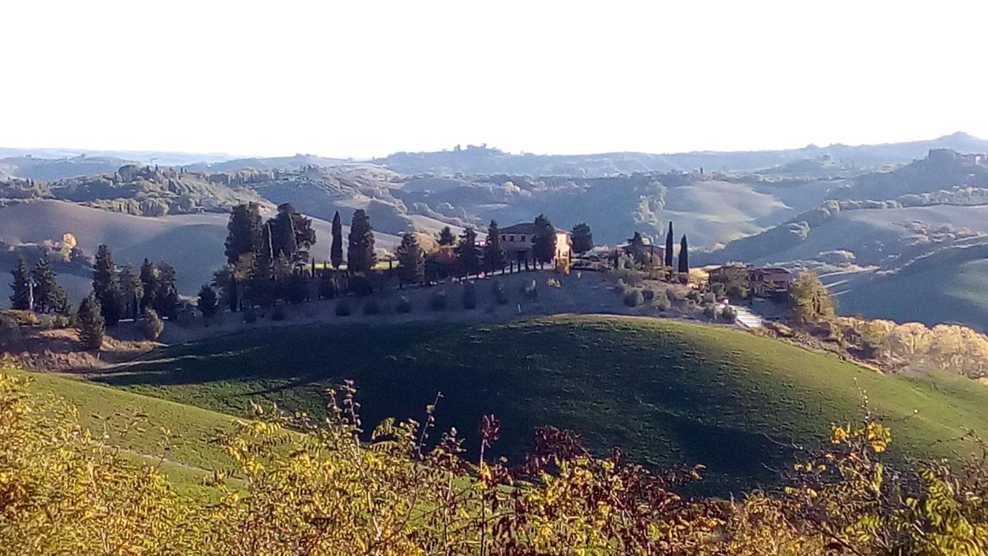 San Lorenzo Agriturismo Buonconvento Exterior foto