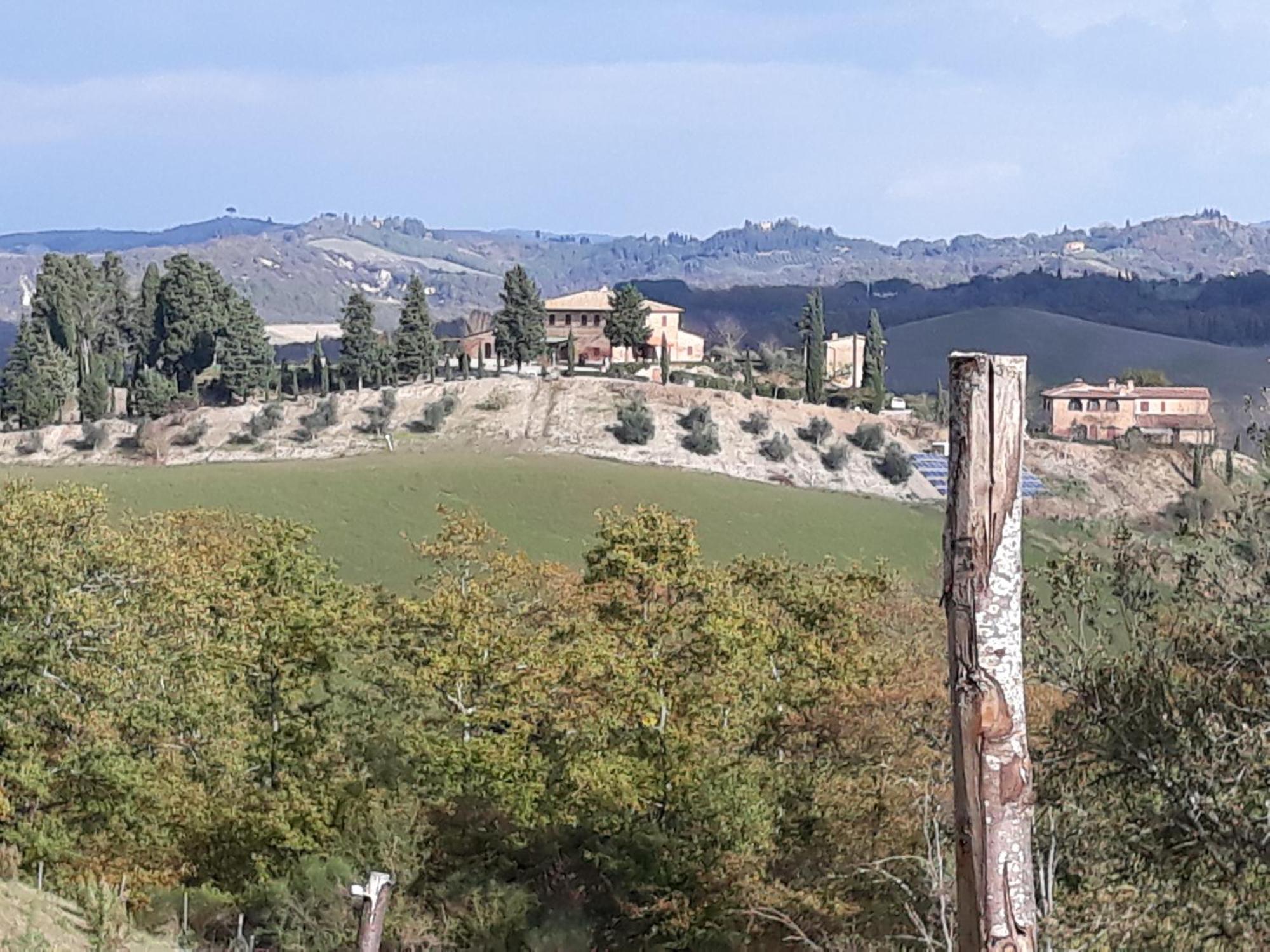 San Lorenzo Agriturismo Buonconvento Exterior foto